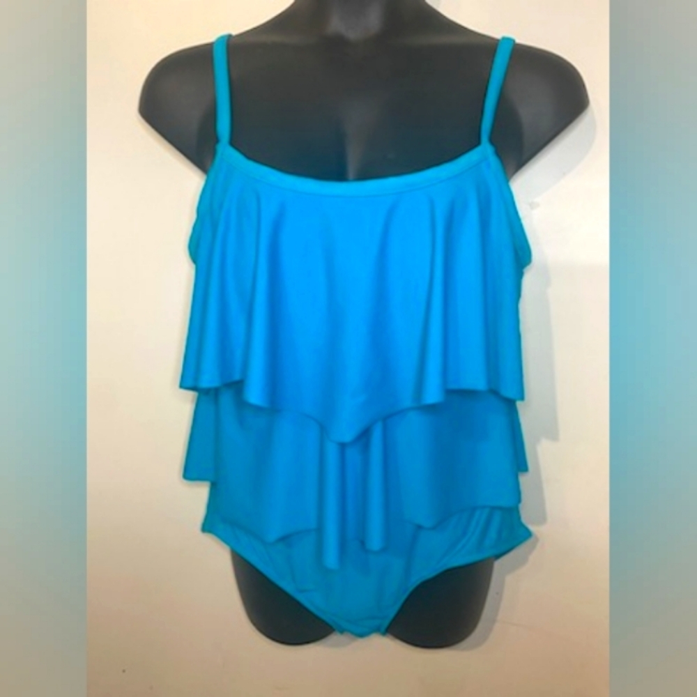 Plus Size Maxine One piece Swimsuit x1